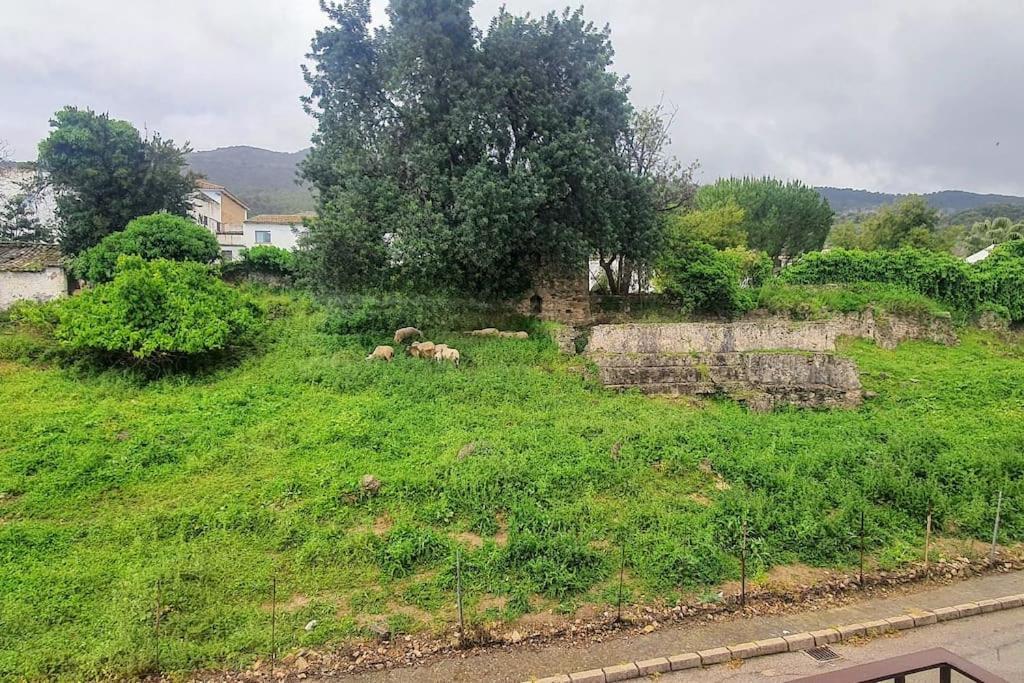 Apartmán La Terracita Del Bosque Exteriér fotografie