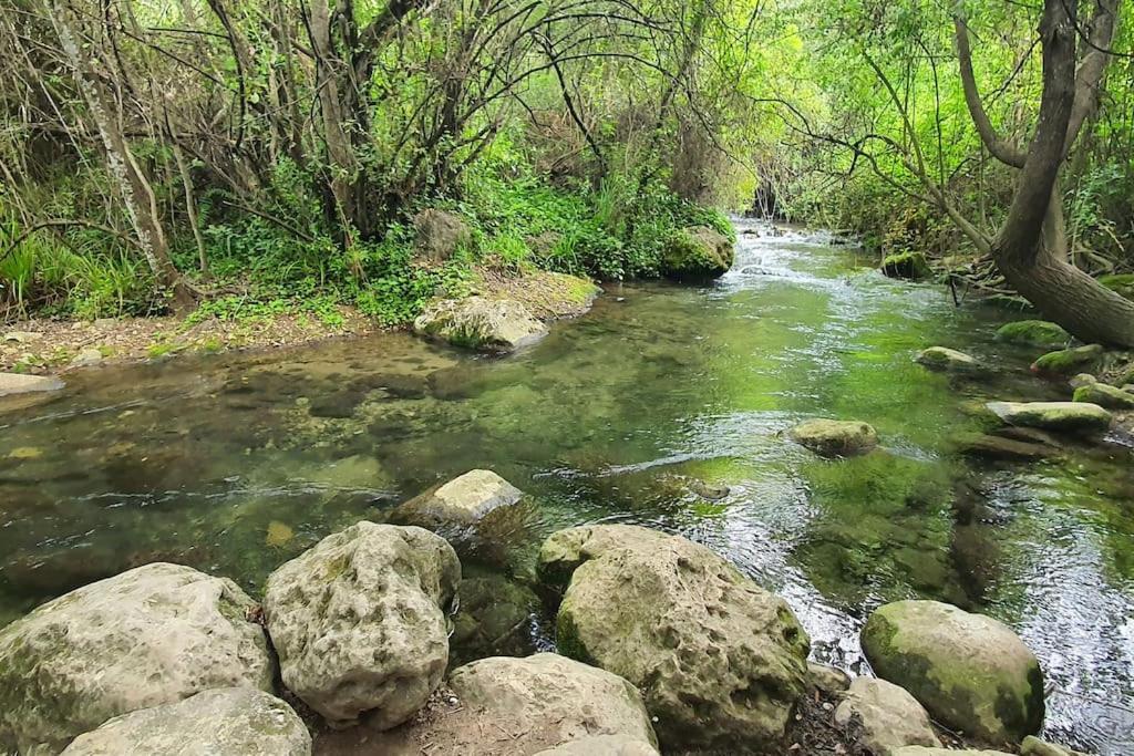 Apartmán La Terracita Del Bosque Exteriér fotografie